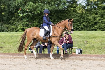 Bild 59 - Pony Akademie Turnier